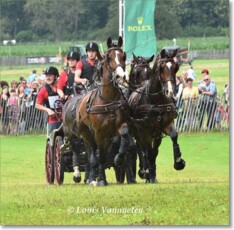 Mennen op programma tijdens CSI4* Luik