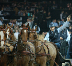 Glenn Geerts wint Willy Naessens Indoor