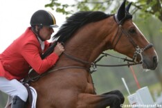 Ook fout in barrage voor Le Jeune & Vereecke