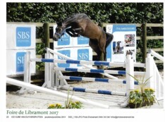 Online veiling Stal Ceulemans sluit 11/9