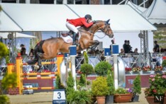Mclain Ward en Carlos winnen ook KGP Rome