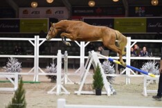 Requiem J&F Champblanc ook veilingtopper!