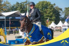 Bronzen Halland verkocht aan Stephex