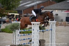 CSI2* Brussel: Peeters 2de in ochtendrubriek