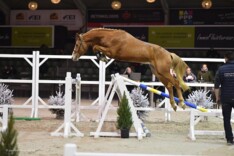 Requiem J&F Champblanc wint finale 2j!