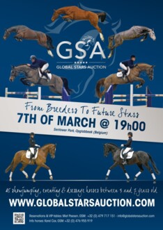 Collectie van de Global Stars Auction online