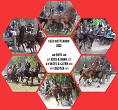 Geerts en Degrieck naar Rotterdam