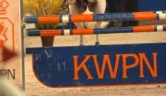 Broer Hello M'Lady reservekampioen KWPN-test