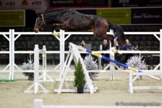 Dit zijn de finalisten vrijspringen voor 2j