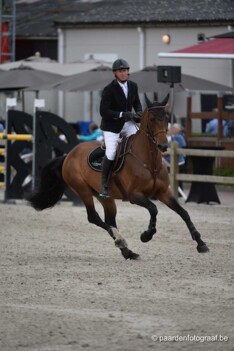 CSI2* Zandhoven: Belgische top vier