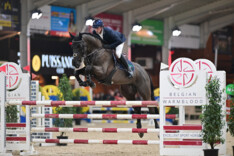 Tim Van Den Broeck wint de laatste manche in de STX cyclus voor 6-jarige paarden