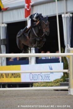 Gold Cup: De Wit voor twee keer Van Laer