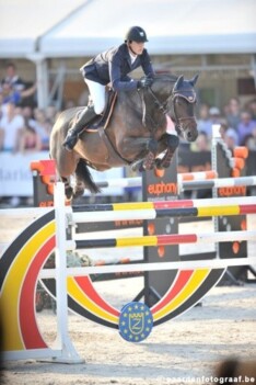 Double H koopt Carlos VHP Z voor Mclain Ward