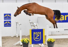 28.500 voor topper Z Online Auction