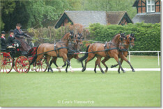 Windsor, 4de dressuurplaats voor FM Brasseur