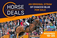 ONTDEK HORSEDEALS BIJZONDERE BLUE DEAL!