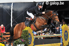 KWPN en Big Star bouwen voorsprong uit op WBFSH-ranglijst