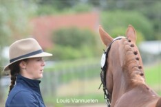 Elsegem: foto's Horse Inspection