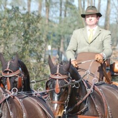 Saumur, Gert Schrijvers zesde plaats dressuur