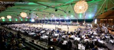 Horseman Elite Auction is schot in de roos