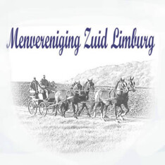 Heijenrath 2014 internationaal voor pony's