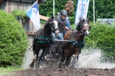 Katrien Laenen uit Geel, behaalde plaats 7 in de groep dubbelspan pony's met 27 deelnemers