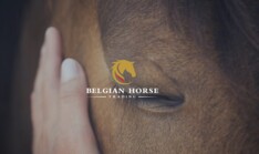 4/11 om 17u: presentatie veilingpaarden BYT