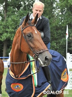 Fananka terug op Stephex Stables