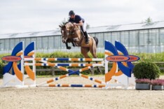 Woodlands int. sales met nieuw record