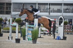 EK Pony’s: Malin Bollen start met 6de plaats