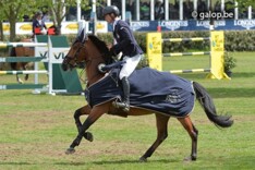 Peder Fredricson wint 1m50 te Lummen