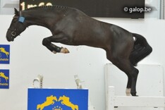 Krismar en Hunters kopen Scato Z