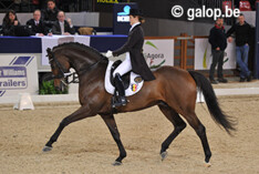 Dressuurteam Aken bekend