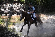Rik Heylen Belgisch kampioen eventing pony"s
