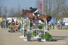 CSI2* Brussel: Winst voor Emilie Conter