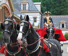 Paarden  van de Koning op Paleis het Loo