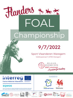 Schrijf nu in voor Flanders Foal Championship (9 juli 2022 – Waregem)!