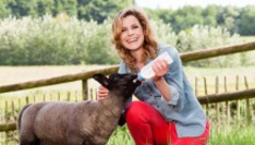 Ruiter zoekt vrouw?