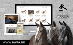 Bied online tijdens BWFA