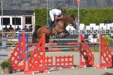 CSI3* Zandhoven: Net niet voor Van Dijck