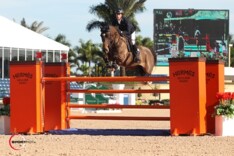 Maher op temperatuur in Florida