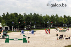 Traningsdagen Stoeterij d"Heybocht