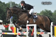 Appelen wint GP,  Hornesch de Masters
