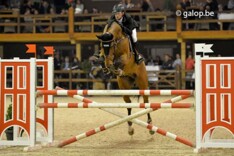 Hippofan Jos van d'abdijhoeve verkocht