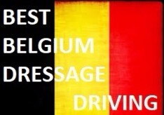 Best Belgium Dressage - update