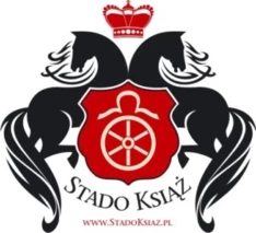 Dossier  CAI KSIAZ (POL) - 07 - 10/07/2022