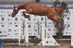 ESHA-veiling levert topper van 29.000 euro