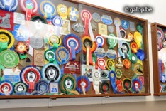 Hengstenshow  Dorperheide een succes