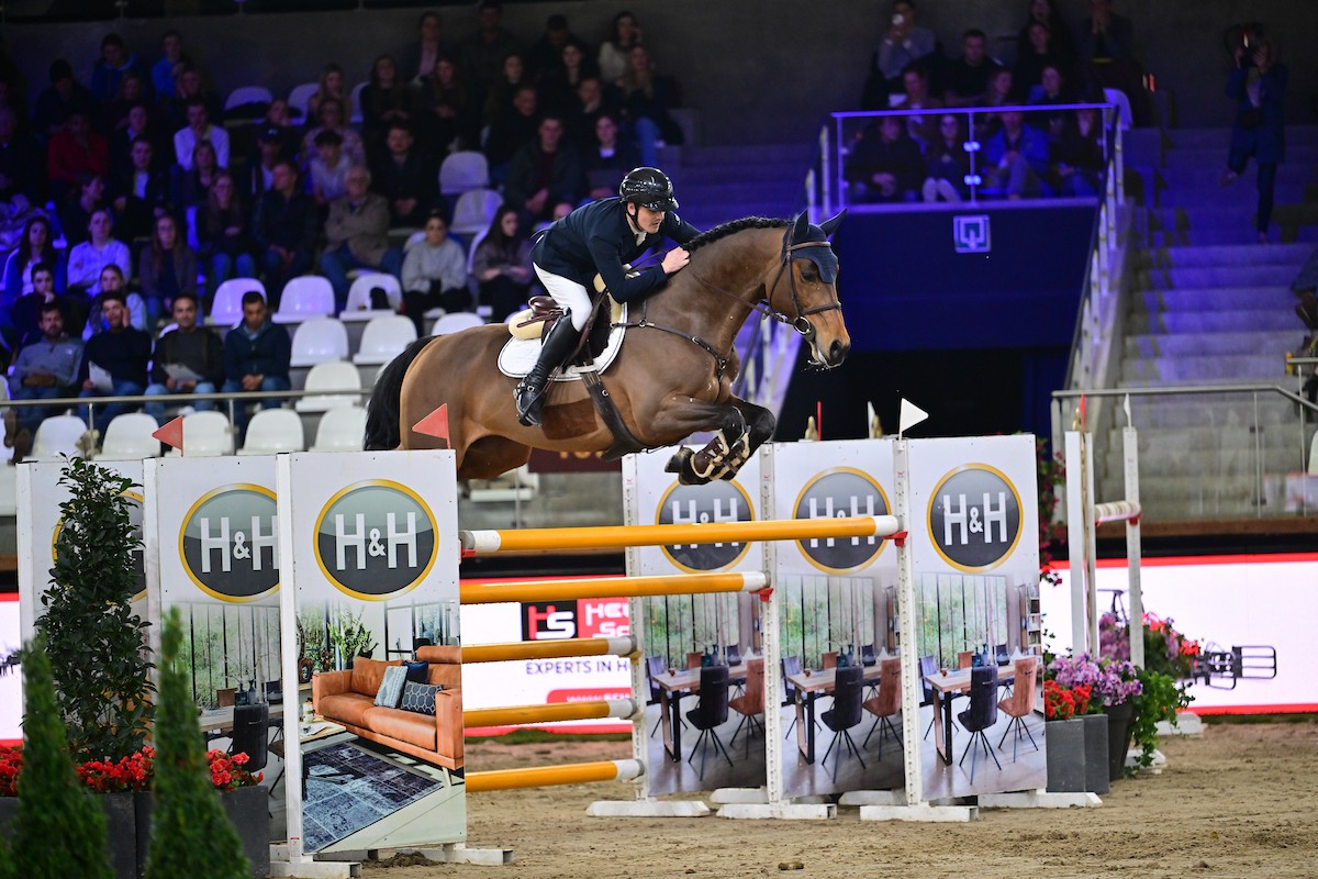 Galop.be - Brecht Goossens levert klasse af bij Grote Prijs in Sentower ...