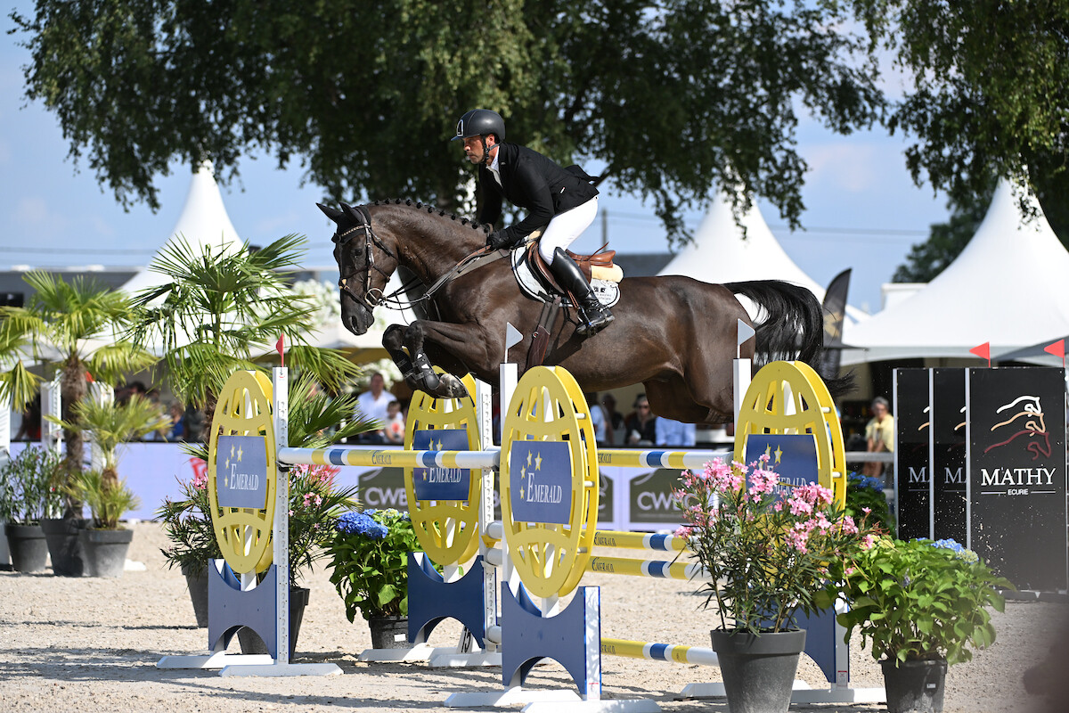 Galop.be - Top 5-klasseringen voor Caubergs en Kenis in het Sentower Park